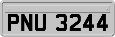 PNU3244