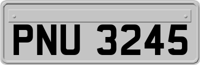 PNU3245