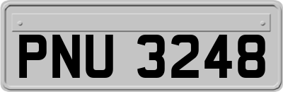 PNU3248