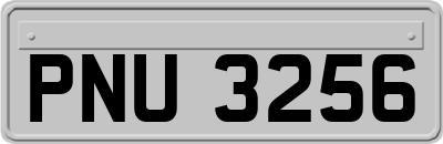 PNU3256