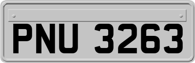 PNU3263