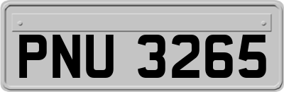PNU3265