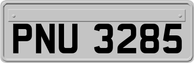PNU3285