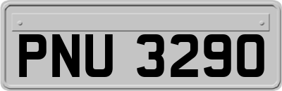 PNU3290