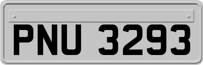PNU3293