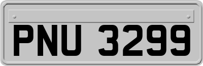 PNU3299