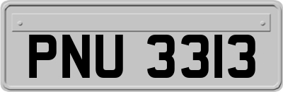 PNU3313