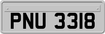 PNU3318