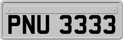 PNU3333