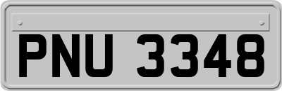 PNU3348