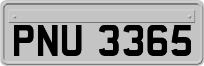 PNU3365