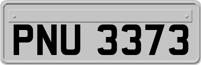 PNU3373