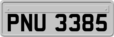 PNU3385