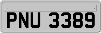 PNU3389