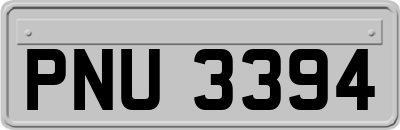 PNU3394