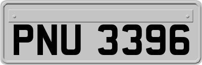 PNU3396