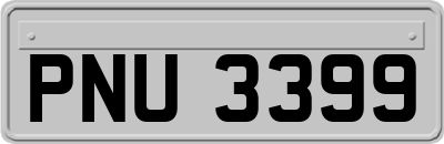 PNU3399