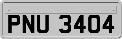 PNU3404