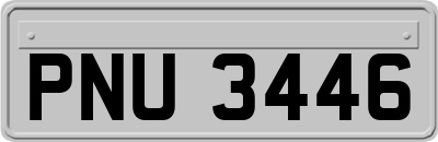PNU3446