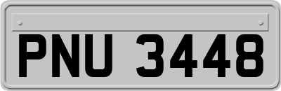 PNU3448