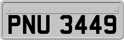 PNU3449