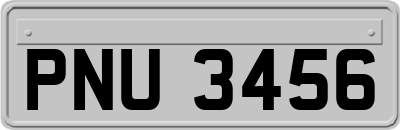 PNU3456