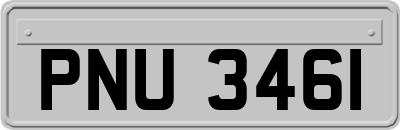 PNU3461