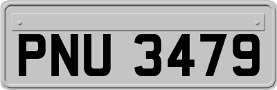 PNU3479