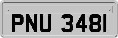 PNU3481