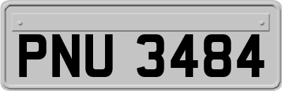 PNU3484