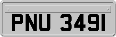 PNU3491