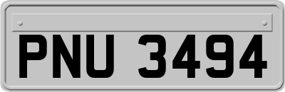PNU3494