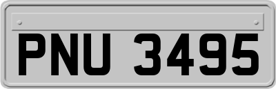 PNU3495