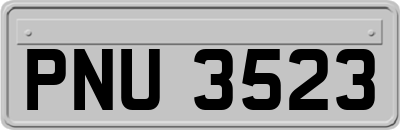 PNU3523