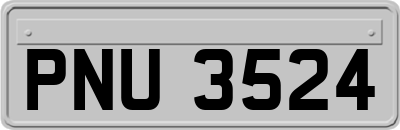 PNU3524
