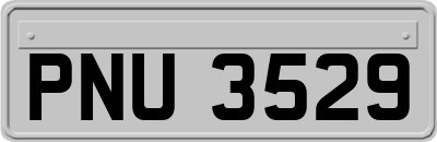 PNU3529