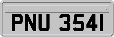 PNU3541