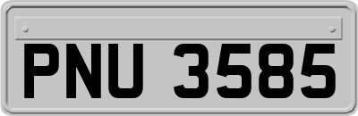 PNU3585