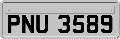 PNU3589