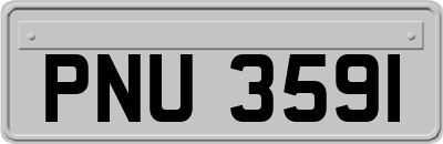 PNU3591