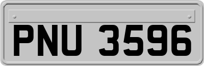 PNU3596