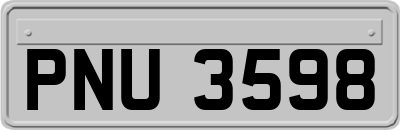 PNU3598