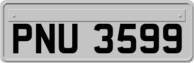 PNU3599