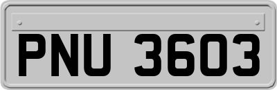 PNU3603