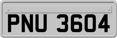 PNU3604