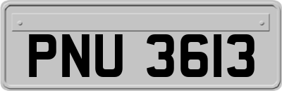 PNU3613