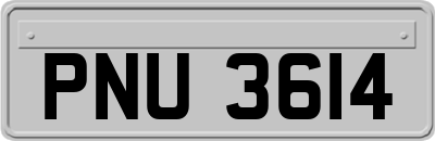 PNU3614