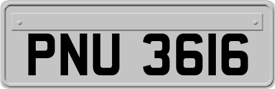 PNU3616