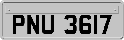 PNU3617