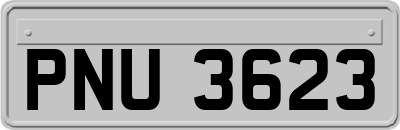 PNU3623